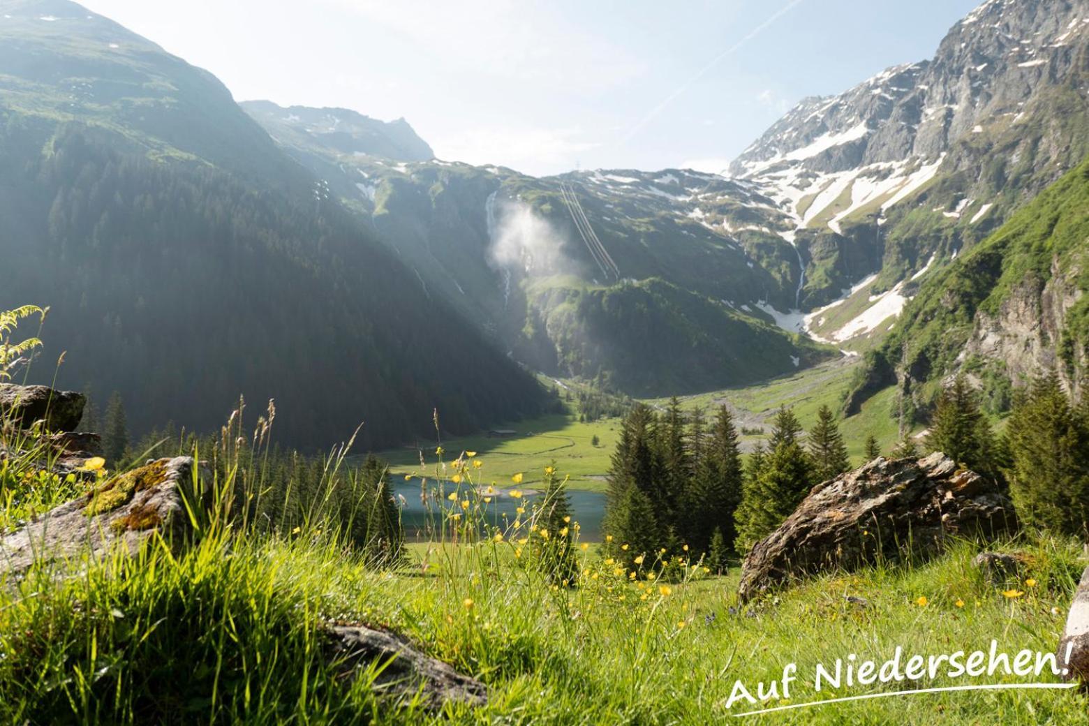 Ferienwohnung Auf Niedersehen - 8 Personen - Kitzbuehler Alpen - Hoehe Tauern Np Hollersbach im Pinzgau Luaran gambar